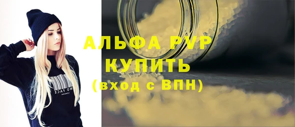 индика Арсеньев