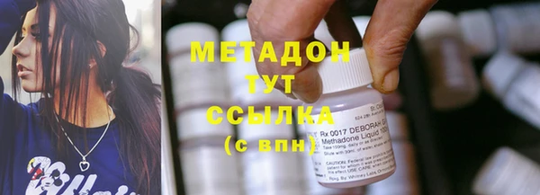 индика Арсеньев