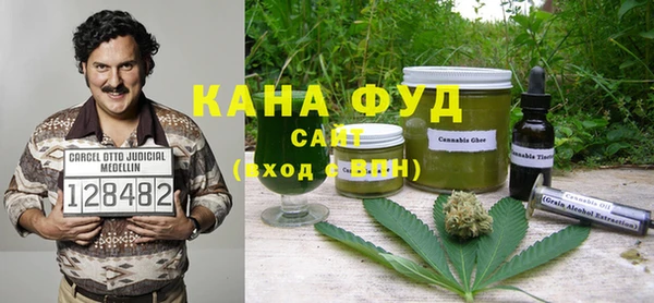 индика Арсеньев