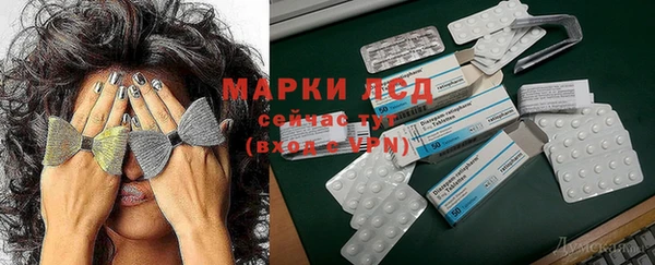 прущие грибы Алексин