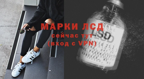 индика Арсеньев