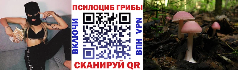 Псилоцибиновые грибы мухоморы  Лахденпохья 